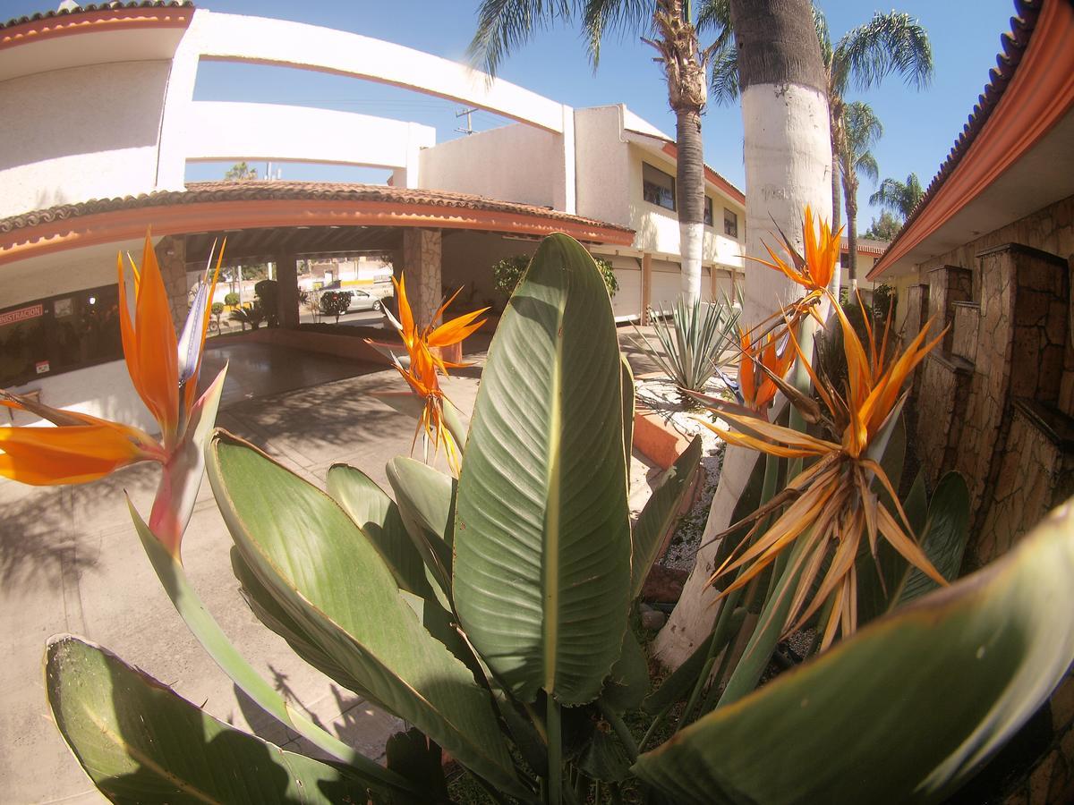 Auto Hotel Niza Tlaquepaque Exterior foto